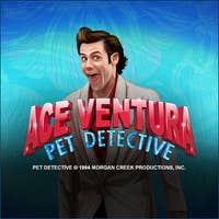 Ace Ventura  Play game online!