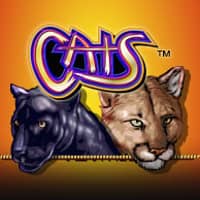 Cats.