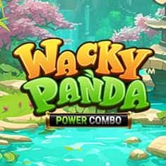 EC-11740_WH_Wacky-Panda-Power-Combo_functional-lo_222x222px.jpg