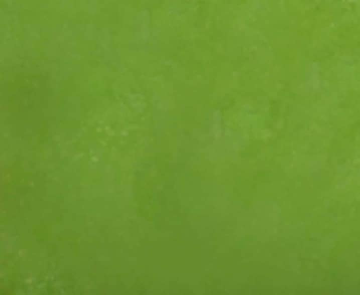 Slingo Constitution Hill