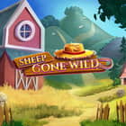 77661-Sheep-Gone-Wild-GTs_CC001-1000x1000.JPG
