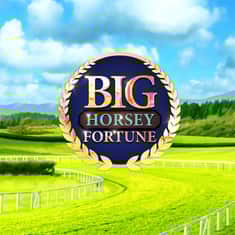 75898-Big-Horsey-Fortune-GTs_CC001-1000x1000.JPG