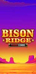 EC-16574_WH_Bison-Ridge-Power-Combo_functional-lo_222x456px.jpg