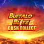 EC-4181_WH_Buffalo Blitz Cash Collect_lo_222x222px.jpg