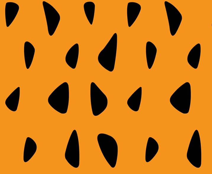 The Flintstones Bedrock Riches (JPK)
