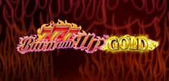 EC-21347_WH_777-Burn-'em-Up-Gold_functional-lo_456x222px.jpg