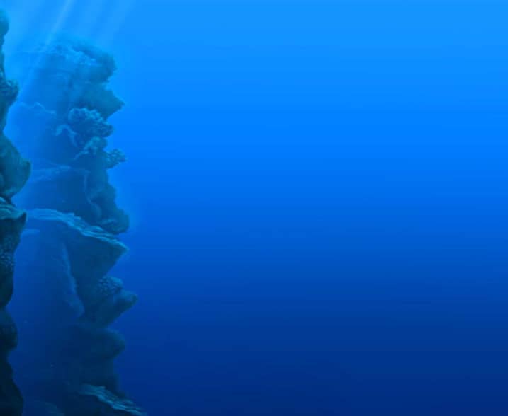 Fishin' Frenzy: Even Bigger Catch