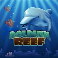 Dolphin Reef