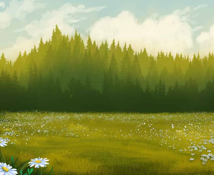 Bear Crazy
