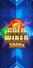 EC-21336_WH_Gold-Wired_functional-lo_222x456px.jpg