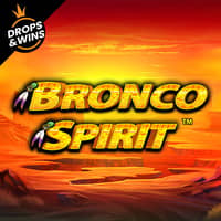 Bronco Spirit