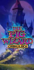 EC-15177_WH_The-Pig-Wizard-Cash-Lock_functional-lo_222x456px.jpg