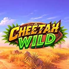 EC-21768_WH_Cheetah-Wild_functional-lo_222x222px.jpg