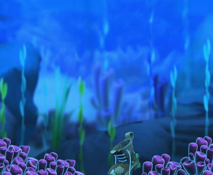 Catch of the Day