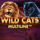 WHC_28960_Wildcats_Game-Tile-Request_428x428.jpg