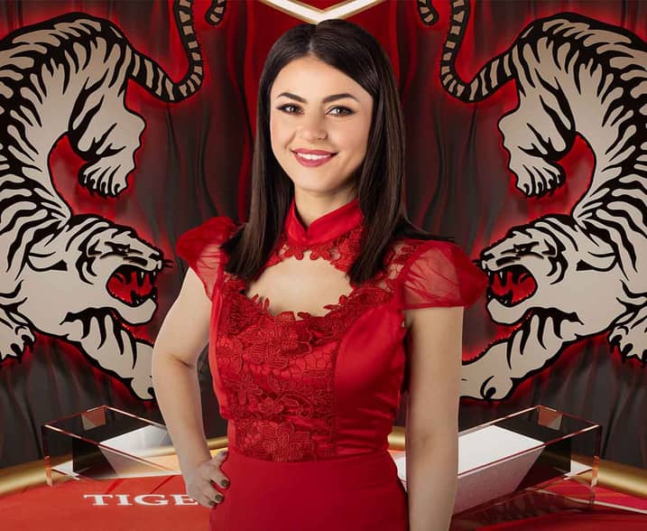 Super Speed Dragon Tiger