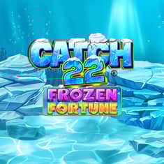 100167-Catch22FrozenFortune-LO-GTs_PA001-1000x1000.JPG