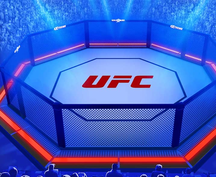 UFC Gold Blitz Extreme