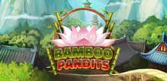 EC-21292_WH_Bamboo-Pandits_functional-lo_456x222px.jpg