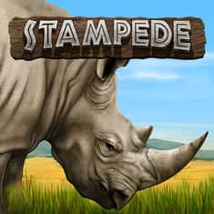 Stampede-400x400.jpg