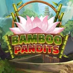 EC-21292_WH_Bamboo-Pandits_functional-lo_222x222px.jpg