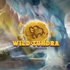 WHC_62180_Wild_Tundra_Vegas_Alchemy_GTs-1000x1000.jpg
