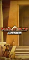 EC-12046_WH_Book-of-Dead-Go-Collect_functional-lo_222x456px.jpg