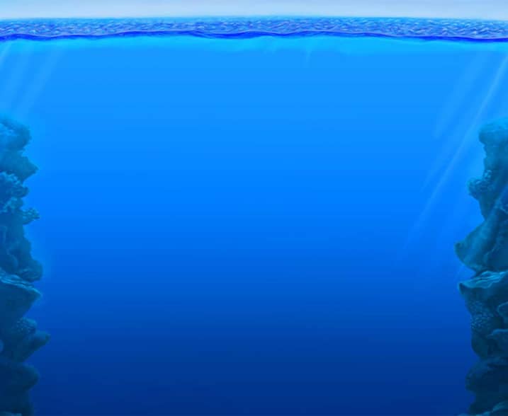 Fishin' Frenzy: The Big Splash