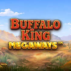 EC-19976_WH_Buffalo-King-Megaways_release_functional-LiveCasino_Single_tile_LO_1000x1000px.jpg