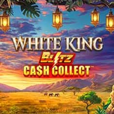 EC-21762_WH_WHITE-KING--BLITZ-CASH-COLLECT_functional-lo_222x222px.jpg