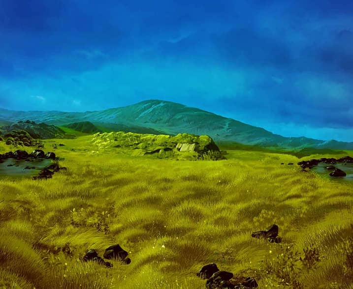 Luck o' the Irish: Fortune Play