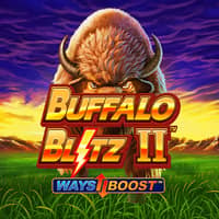 Buffalo Blitz II