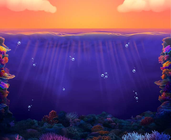 William Hill Fishin' Frenzy: Net Gains