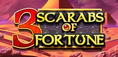 EC-13776_WH_3-Scarabs-of-Fortune_functional-lo_456x222px.jpg