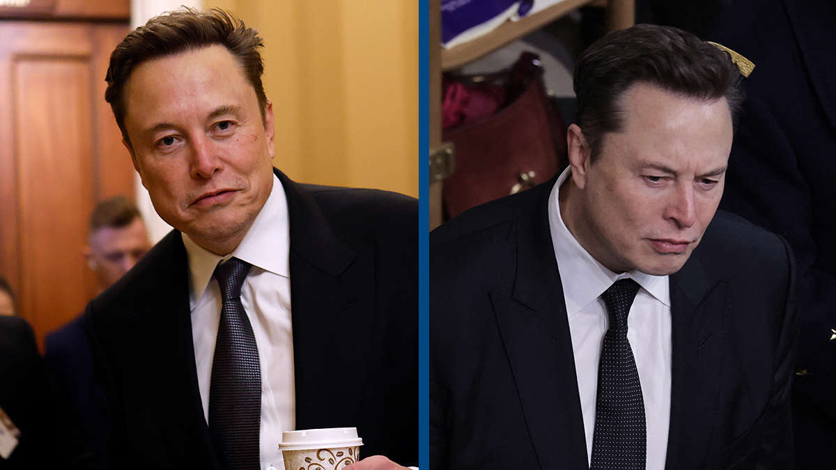 Every job Elon Musk is hiring for in DOGE ahead of President-elect Donald  Trump's inauguration - News - UNILAD Tech