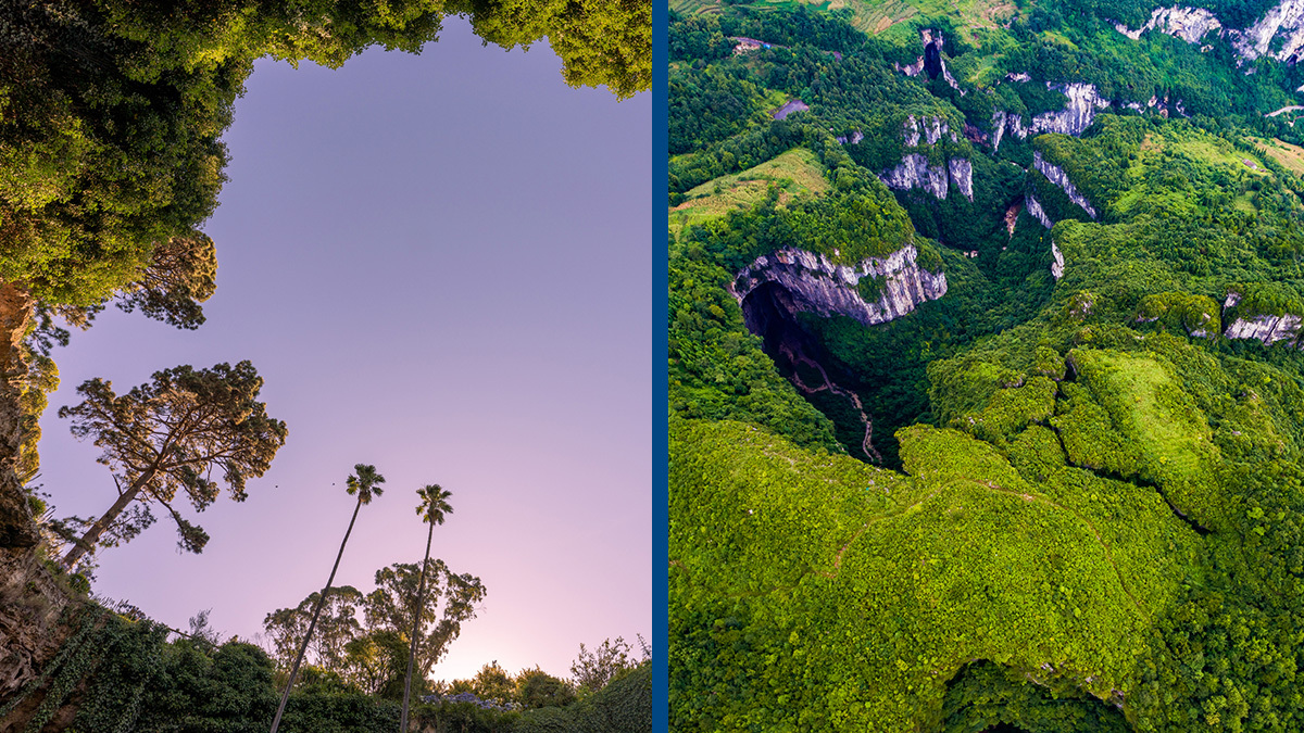 How a huge ancient forest was discovered 630 feet down secret sinkhole in  China, image size:1200x675