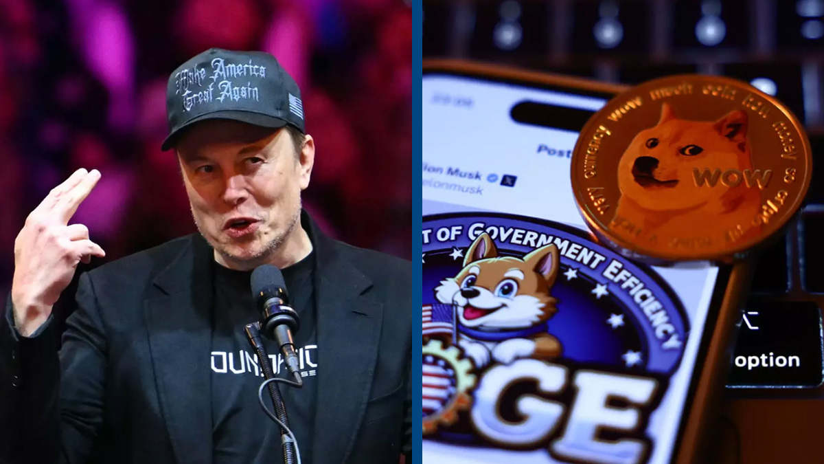 How much money you could make in 10 years by purchasing $100 of Dogecoin  today as currency reaches record high