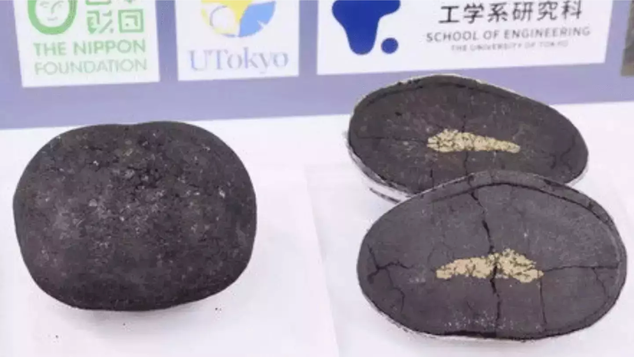 Japan 児島未散 Michiru Kojima 一歩ずつの季節 PIDL 1045