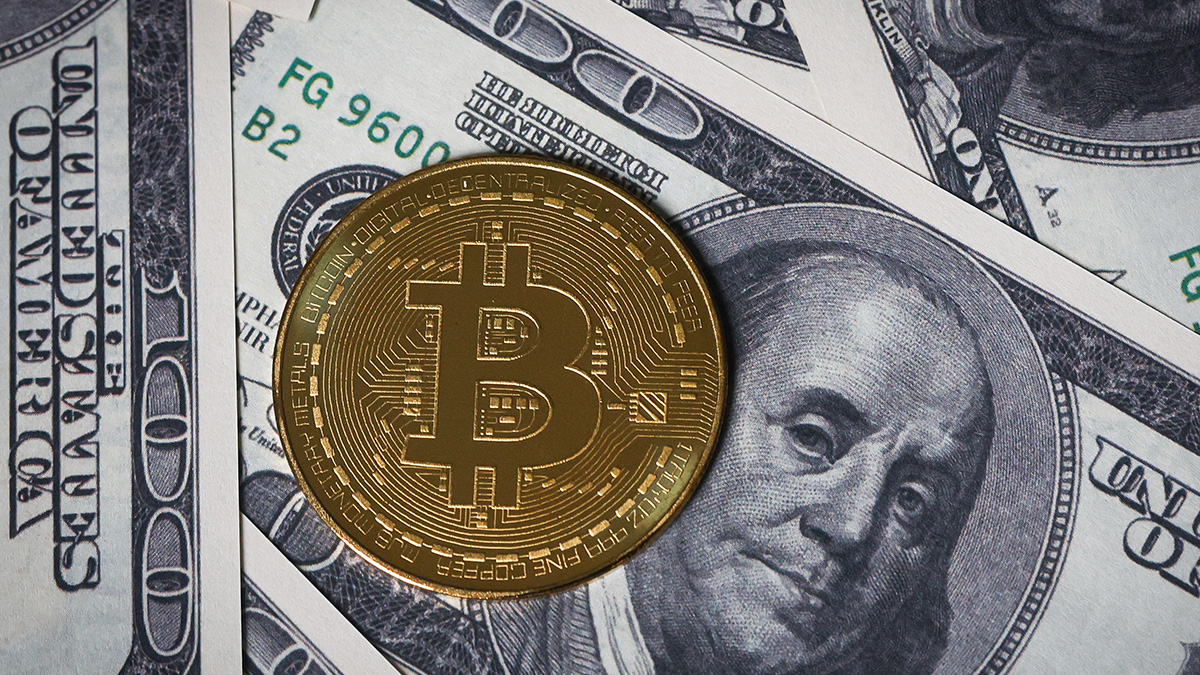 Man who lost $630,000,000 bitcoin fortune in tip looks to purchase entire  landfill where it was thrown