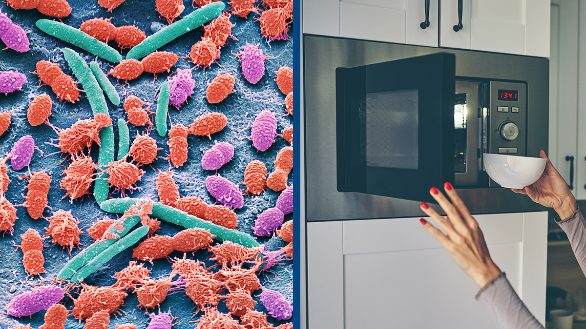 Scientists discover that microwaves are home to far more radiation resistant microbes than you could imagine News UNILAD Tech