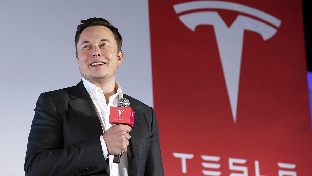 Tesla Optimus Robot