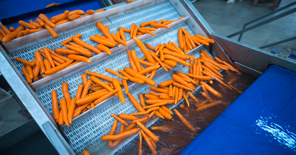 Early detection technology could catch bacterial contamination in carrots