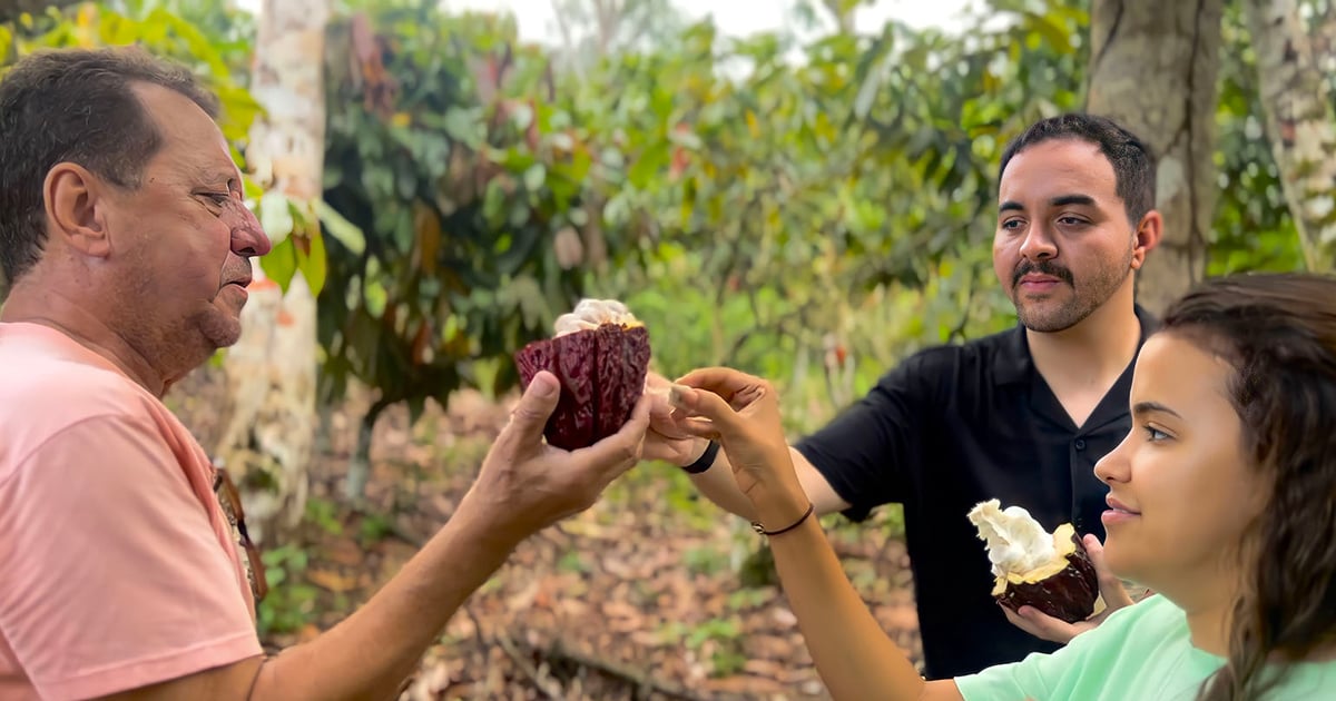 Elixir Foods turns cocoa waste into health-conscious sweetener