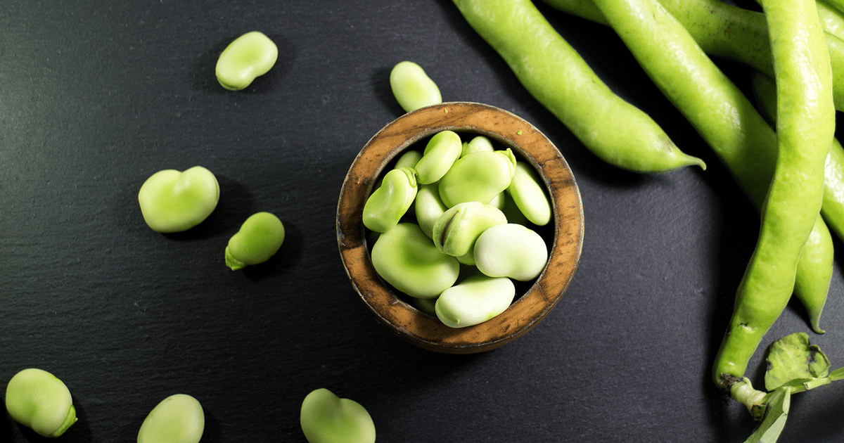Fava protein innovation delivers on taste and solubility