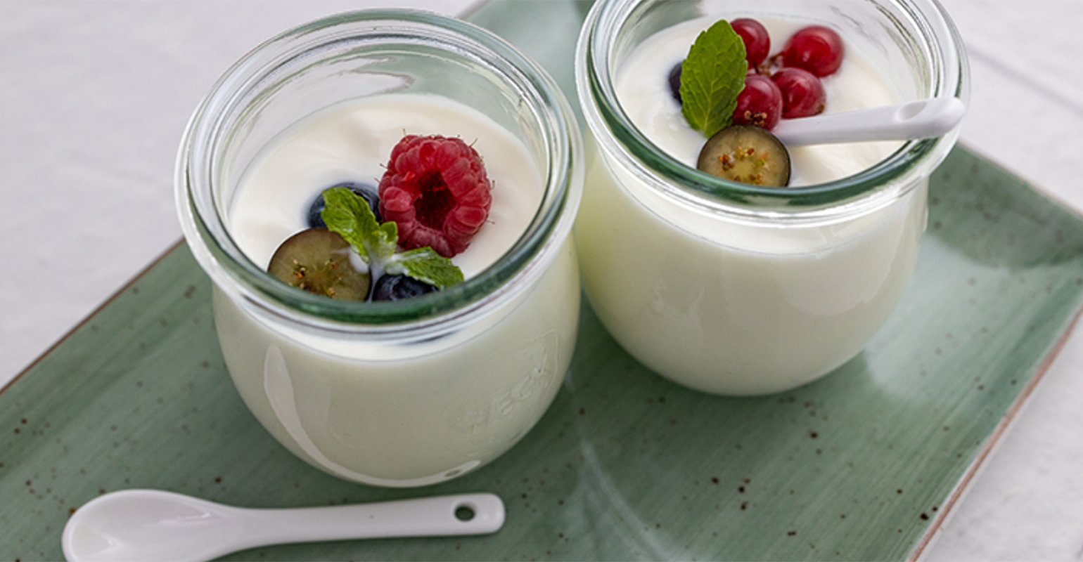 Delivering plantbased alternatives to dairy applications