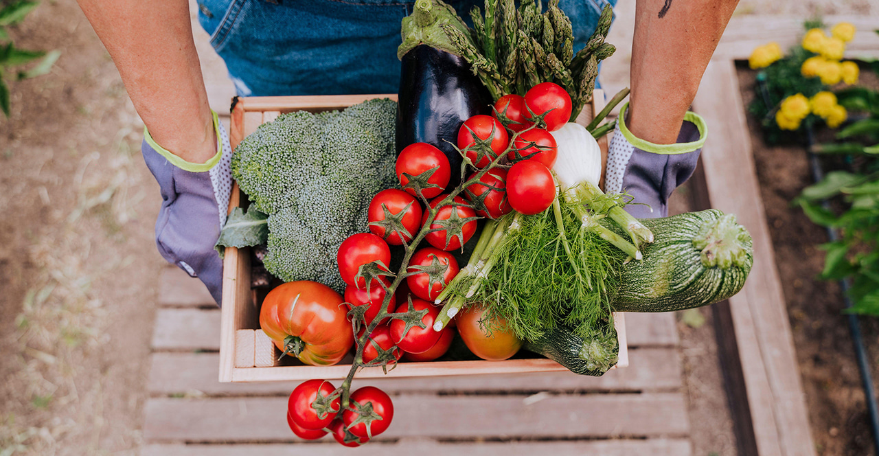 Think globally, act locally: The effect of Covid-19 on local supply chains