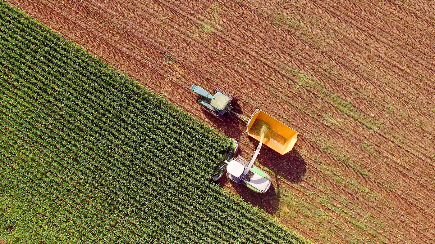 Agricultural machinery harvesting corn for animal feed or ethanol Agricultural machinery harvesting corn for animal feed or ethanol