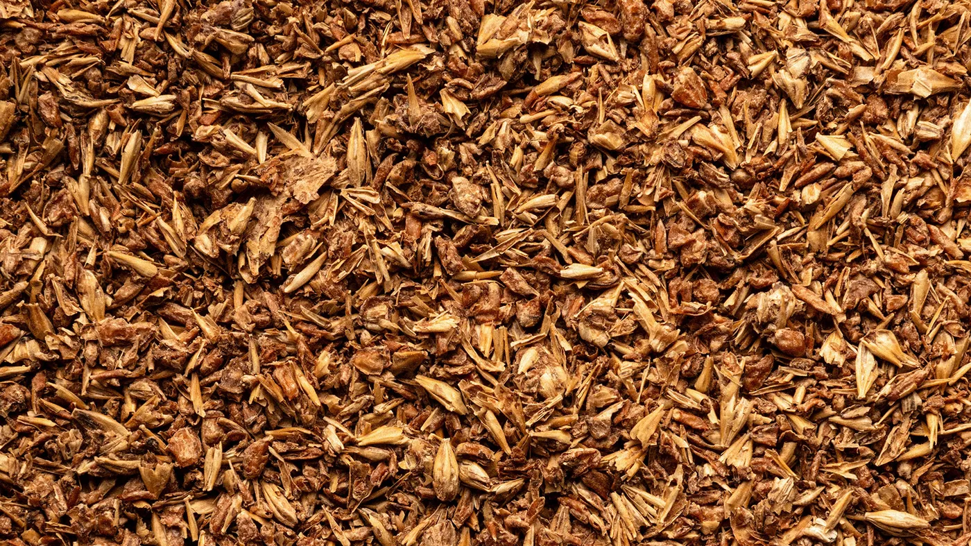 TransFoodMission's upcycled brand, Secontaste's dried brewer's spent grain. TransFoodMission's upcycled brand, Secontaste's dried brewer's spent grain.