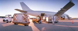 A cargo aircraft being loaded with packages from pallets. 