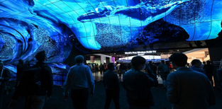 CES attendees watch a whale image on a screen.